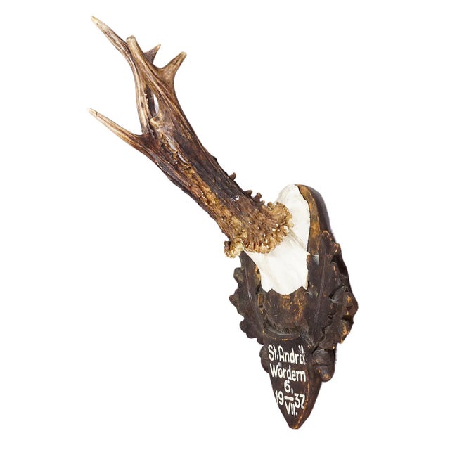 Great Deer Trophy Mount on Wooden Carved Plaque 1937 For Sale - Image 6 of 6