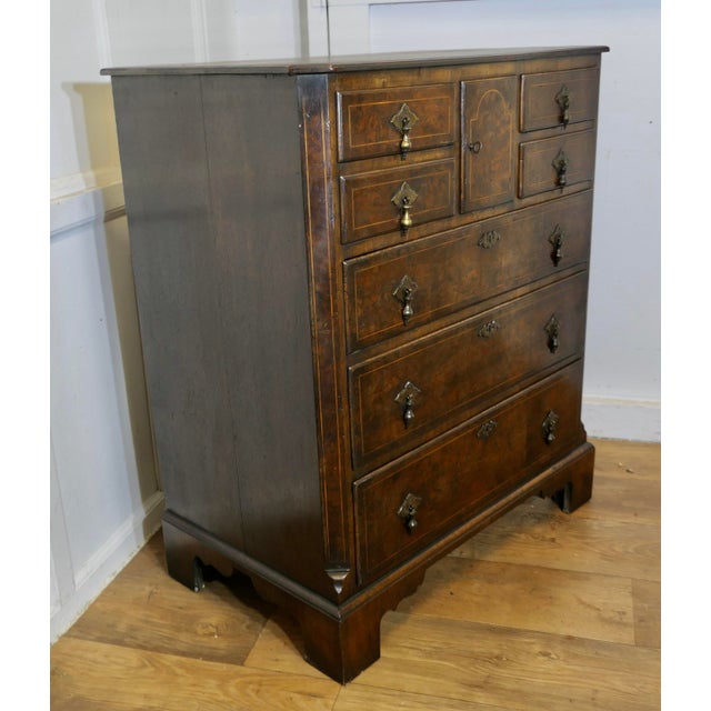 Wood Walnut and Oak Chest of Drawers For Sale - Image 7 of 10