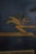 Chinese Lacquer Ebonized 6 Panel Screen Divider For Sale - Image 14 of 17