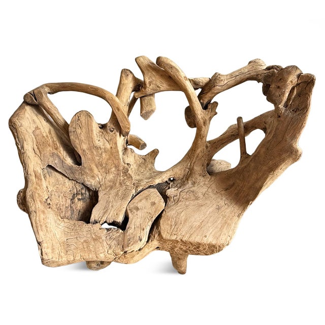 Contemporary Vintage Organic Freeform Teak Root Bench/Chair For Sale - Image 3 of 7
