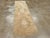 Camel Galerie Shabab Collection Mid-20th Century Turkish Anatolian Runner For Sale - Image 8 of 10