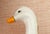 Henriot Quimper Hand Painted Duck-Vase/Planter/Decorative Accent For Sale In Tampa - Image 6 of 9
