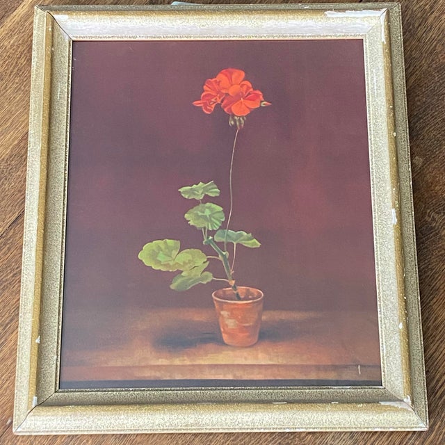 1960s Framed Print "Geranium in a Pot" by Marcus Jacobi For Sale - Image 5 of 12