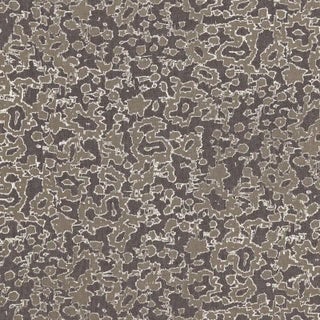 Sample- Schumacher Rain Dance Fabric in Charcoal For Sale