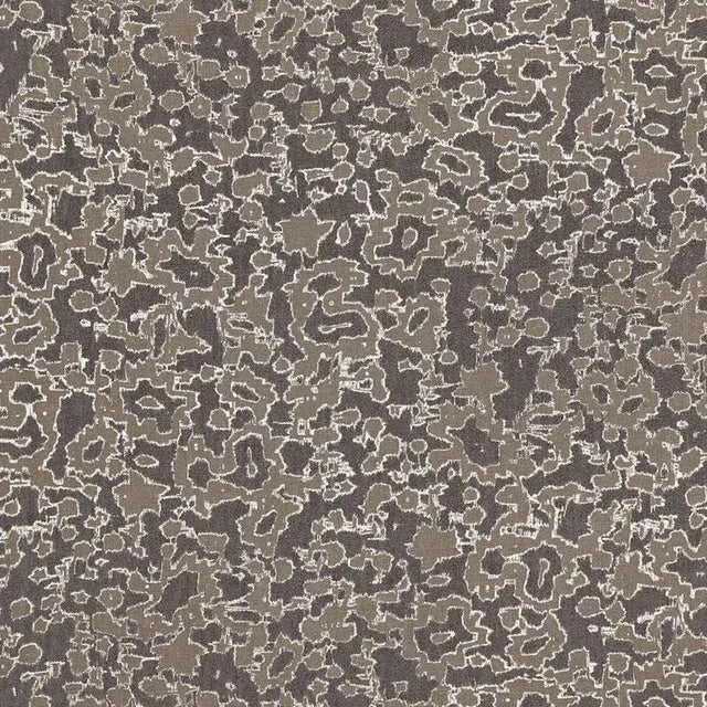 Sample- Schumacher Rain Dance Fabric in Charcoal For Sale