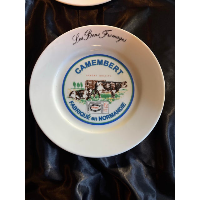 1970s 1970s French Provincial Earthenware Cheese Plate Service by Saint Amand - Set of 6 For Sale - Image 5 of 11