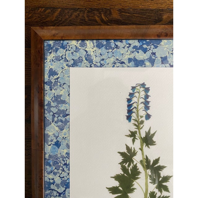 Beautifully framed pressed flower prints on archival paper. Original engravings these were printed from date back to the...