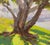 Shoreline Shade by Judd Mercer | Gouache On Paper Tree casting shadows on a grassy shoreline. For Sale - Image 4 of 5