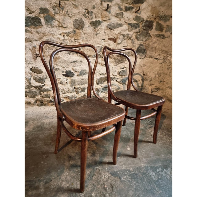 Brown Bentwood Café Chairs from Jacob & Josef Kohn, Vienna, Austria, 1900s, Set of 2 For Sale - Image 8 of 15