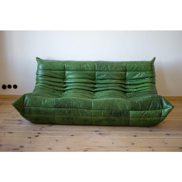 Dubai Green Leather Togo Lounge Chair with Pouf and 3-Seater Sofa by Michel Ducaroy for Ligne Roset, Set of 3 For Sale - Image 10 of 11