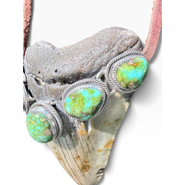 Roie Jaque Navajo Sterling Silver Turquoise Megalodon Tooth Pendant Necklace For Sale - Image 15 of 18