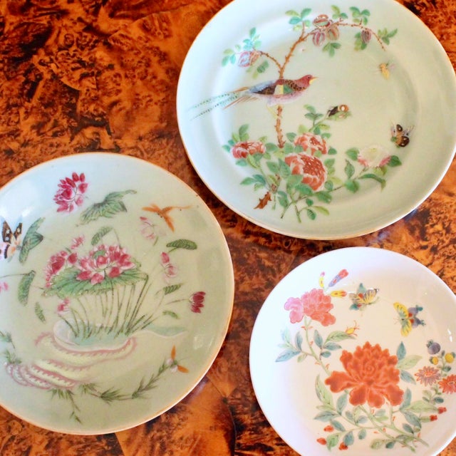 Trio of Rose Canton Chinese Export Porcelain Plates For Sale - Image 9 of 18