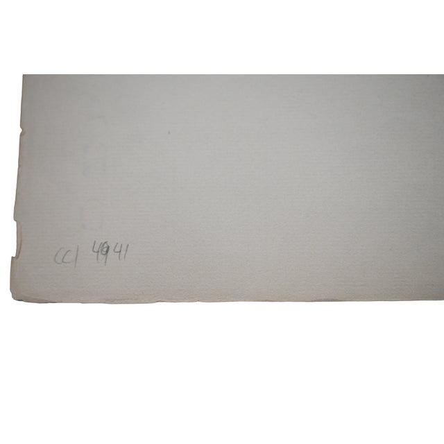 Paper Edward S. Curtis "Tokópala – Walapai" Original Vintage Photogravure on Gampi Tissue, 1907, Cardozo Collection For Sale - Image 7 of 8