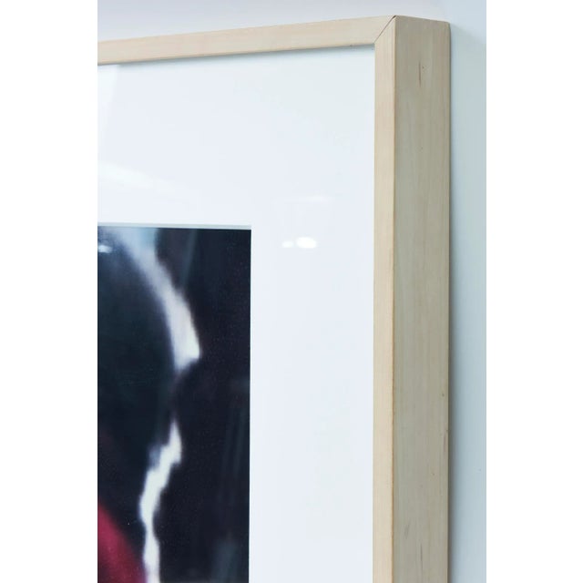 Modern Photograph From Romance Series Titled Redbird by Dara Freidman Custom Framed 2002 For Sale - Image 3 of 10