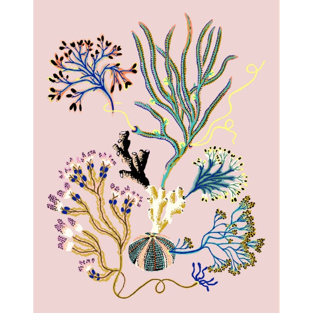 Seaweed botanical giclée print based on the original art installation ‘Into the Sea Forest’ for the 2019 contemporary art...