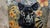Black Panther Botanical Cushion Cover For Sale - Image 9 of 12