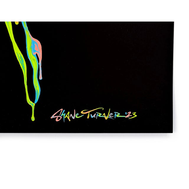 Unique acrylic painting on top of 1 color screen print on 300gsm plike paper. Paint is thick and adds around 5mm of...