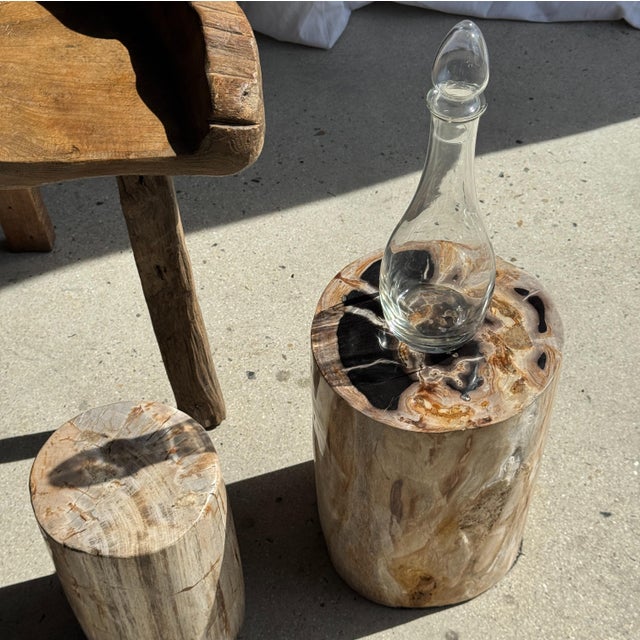 Multicoloured Petrified Wood Side Table For Sale - Image 6 of 16