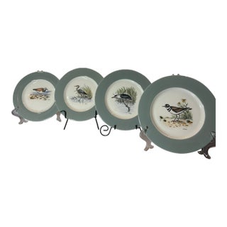 1970s Lot of Four (4) 1972 Dennis Puleston “Shore and Water Birds” Hand-Colored Plates With Celadon Green Trim, Set of Four, Delano Studios For Sale