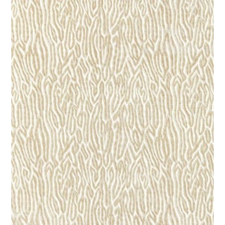 Sample - The House of Scalamandré Faux Bois Velvet Fabric, Fog For Sale