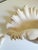 White Serge Roche Style Clam Shell Wall Pockets - A Pair For Sale - Image 8 of 13