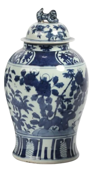 Antique Chinese Blue and White Porcelain Decorative Ginger Jar Covered Vase