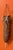 The koteka (Mee, lit. 'clothing'), also referred to as a horim or penis gourd, is a penis sheath traditionally worn by...