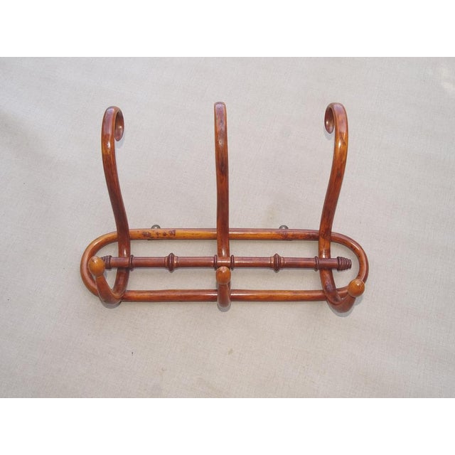 Wood Art Nouveau Wall-Mounted Coat Rack in Bentwood by Kohn, 1905 For Sale - Image 7 of 7