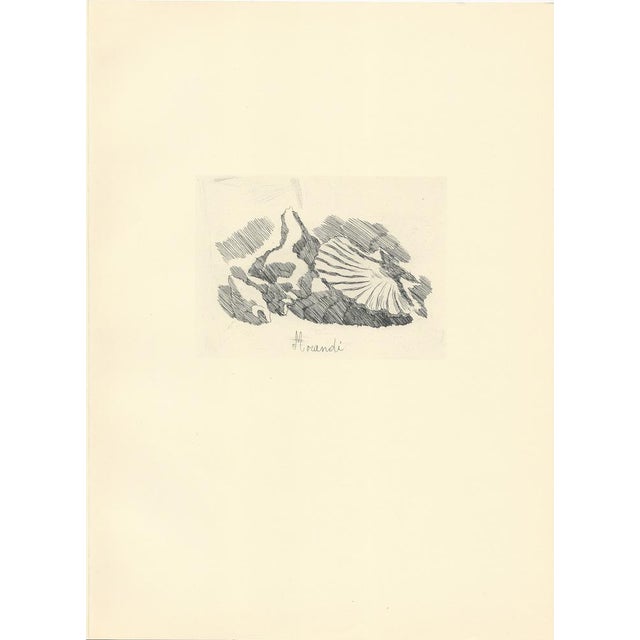 Giorgio Morandi (1890-1964) "Valva di Conchiglia e altri oggetti" (Shell Valve and other objects) Lithograph on paper...