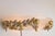 Vintage Bowl Wall Lamps in Goldleaf Murano Glass, Italy, 1970s, Set of 2 For Sale - Image 6 of 18