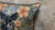 Textile Black Panther Botanical Cushion Cover For Sale - Image 7 of 12