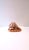 Italian Cameo Shell Seashell, Neoclassical Style, Mid-20th Century, Italy For Sale - Image 4 of 8