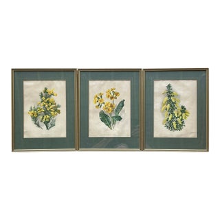 Vintage Framed Botanical Floral Illustrations - Set of 3 For Sale