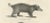 C.C. G. Zool., Collared Peccary, Javanese Skunk and Nordic Wolverine, 1836, Lithograph For Sale - Image 6 of 10