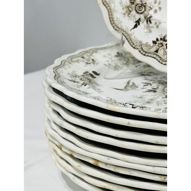 Brown Set of Antique Podmore Walker and Co English Brown Transferware Dinner Plates For Sale - Image 8 of 10