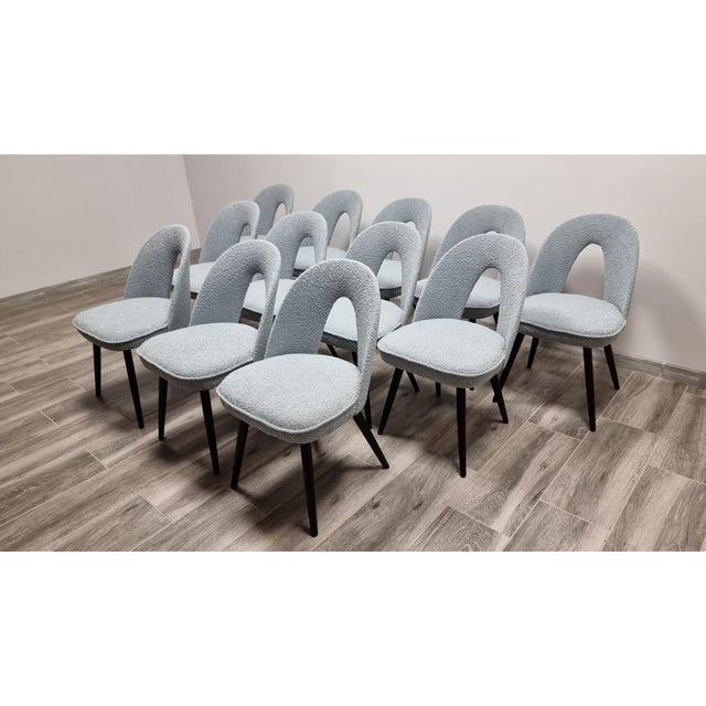 Dining Chairs by Antonin Suman, 1960s, Set of 12 For Sale - Image 12 of 15