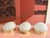 1970s Frosted Glass Scallop Shell Wall Lights - Set of Three For Sale - Image 13 of 18
