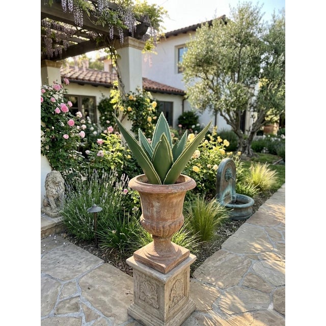 Hand-Painted Moroccan Metal Agave Sculptural Garden Ornament For Sale - Image 9 of 12