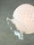 Mid-Century Italian Table Lamp in Brass and Etched Glass For Sale - Image 5 of 12