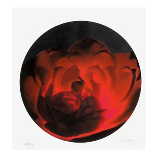 Tondo - Red and Black II, Jonathan Singer, Print For Sale