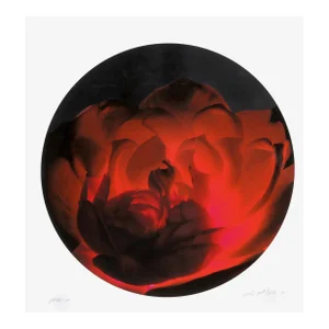 Tondo - Red and Black II, Jonathan Singer, Print