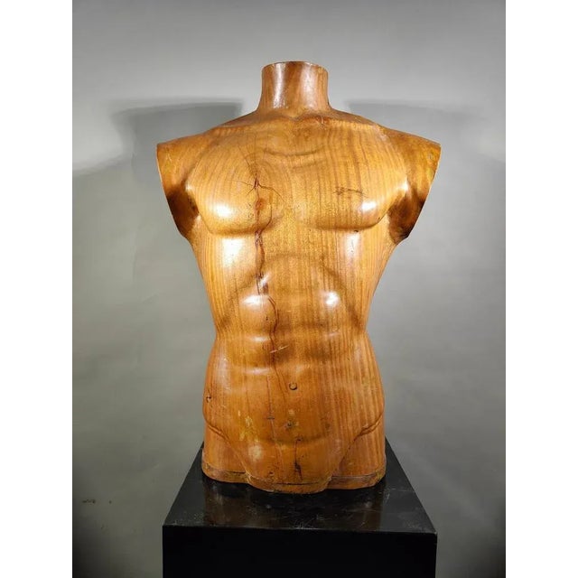French Wooden Male Torso, 1950s For Sale - Image 3 of 13