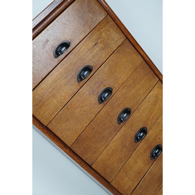 Vintage Dutch Poplar Apothecary Cabinet, 1950s For Sale - Image 9 of 13