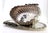 Silver Fruit Bowl with Raised Floral Motifs, Shell-Shaped Friezes, Spiral Body and Elliptical Base For Sale - Image 9 of 11