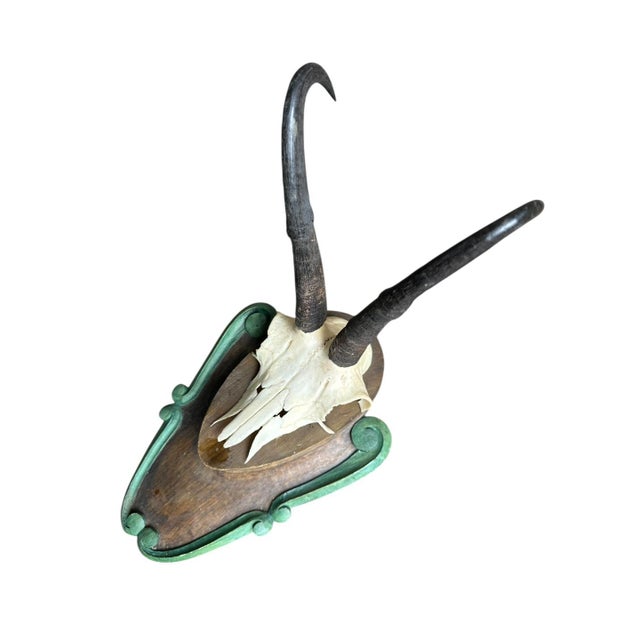 Cabin 1980s Chamois Goat Trophy Black Forest Horns For Sale - Image 3 of 4