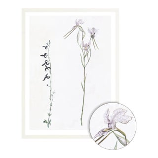 Celerie Kemble Curated Australian Botanical X (24x30) in White Frame For Sale