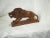 Early 20th Century Early 20th French Carved Walnut Wood Lion For Sale - Image 5 of 9