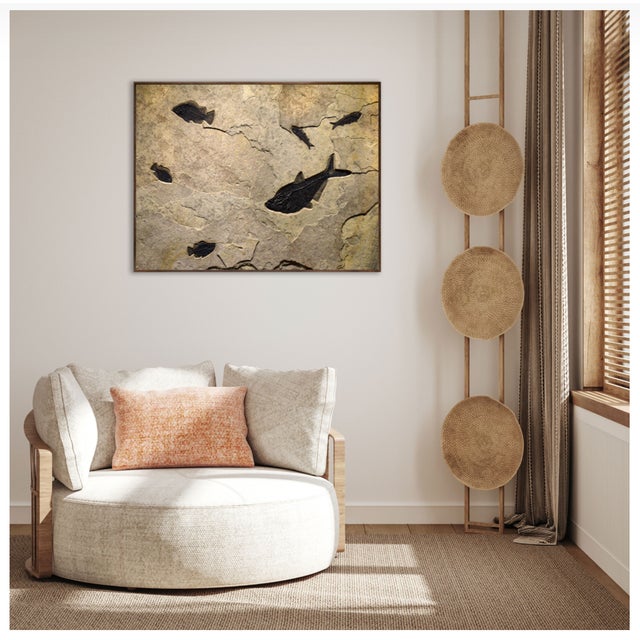 This richly textured fossil mural showcases a dynamic assemblage of prehistoric life from the Early Eocene. A large...