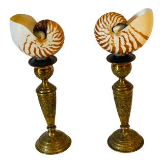 Antque Pair Nautilus Sea Shells on 19 Th C Brass Stands For Sale