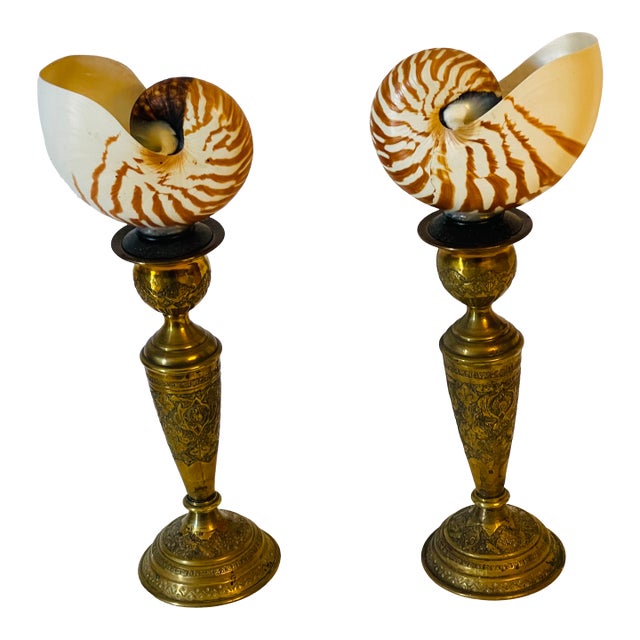 Antque Pair Nautilus Sea Shells on 19 Th C Brass Stands For Sale